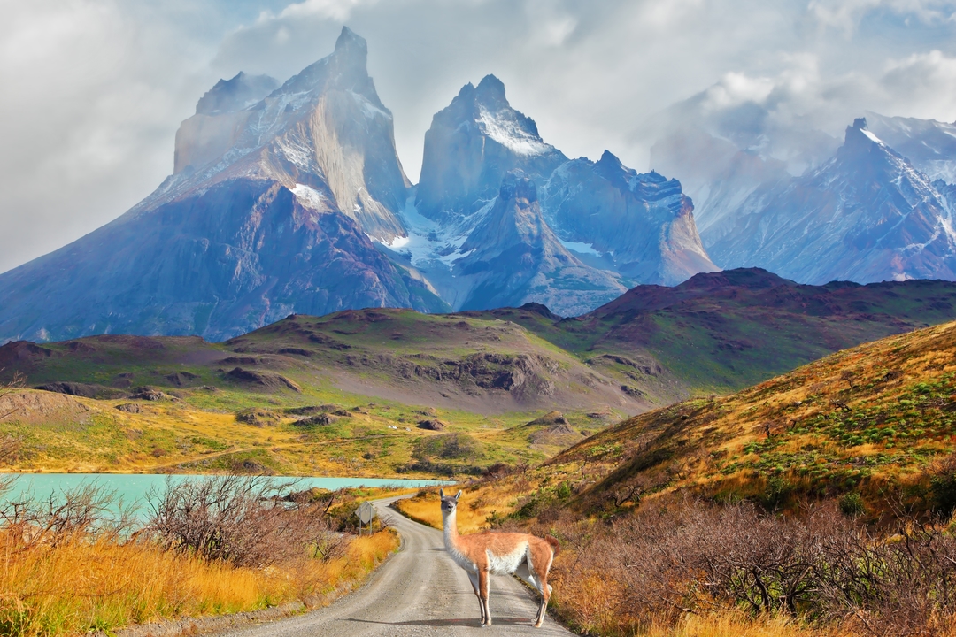 Patagonia Extrema: Vive la Aventura del Fin del Mundo