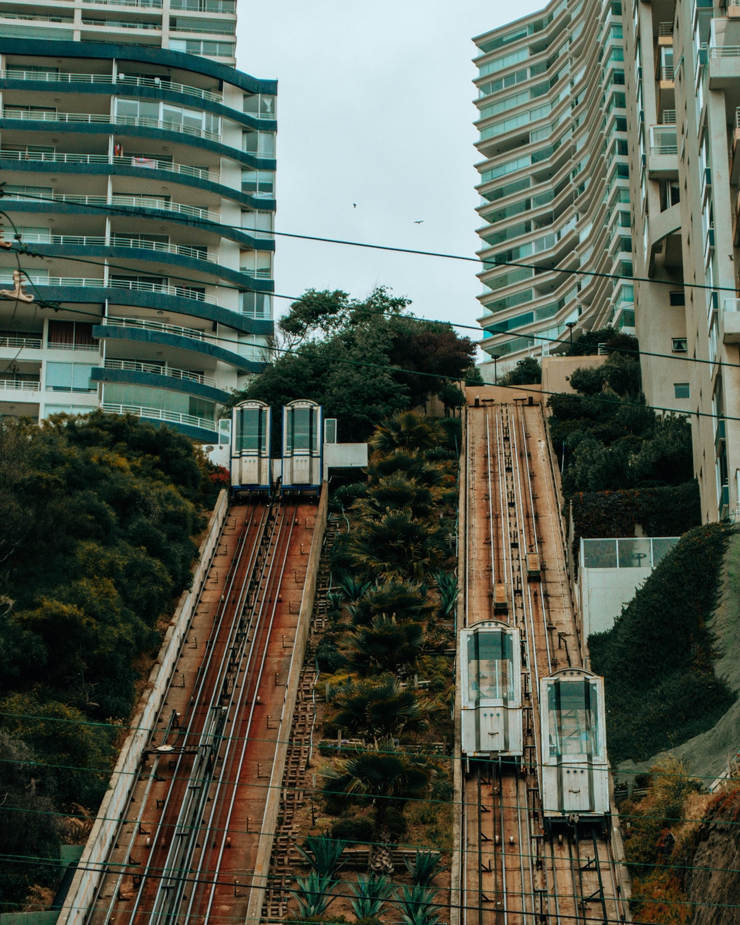 Esencias del Centro - 3 Días en Santiago y Viña del Mar