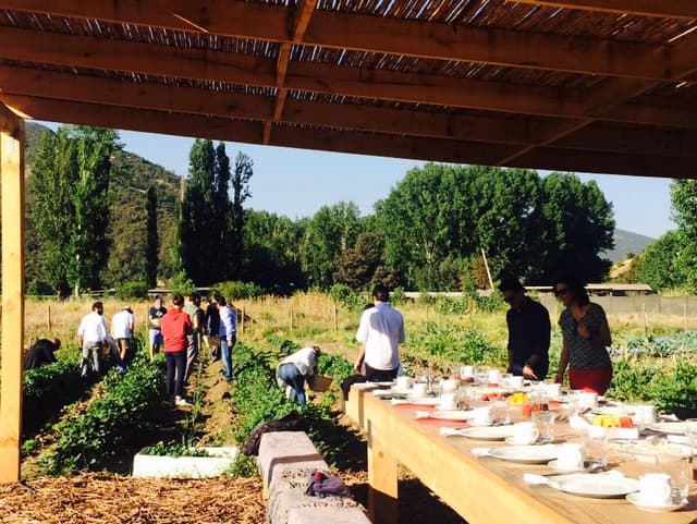 Romantic Getaway at VIK Chile 5