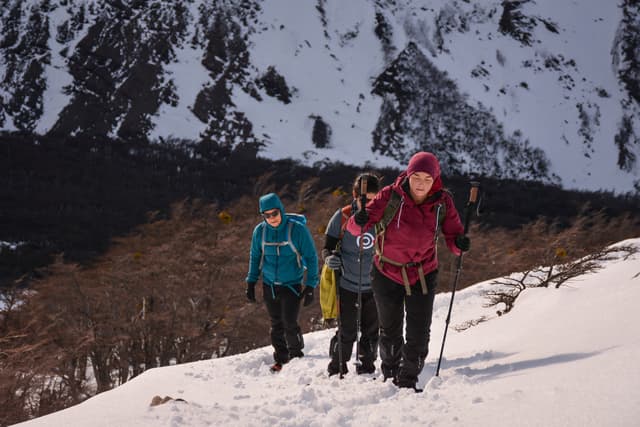 Full Day Trekking Base of the Towers 6