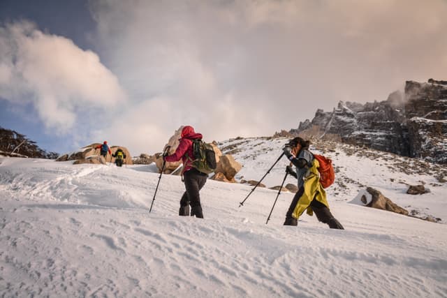 Full Day Trekking Base of the Towers 8