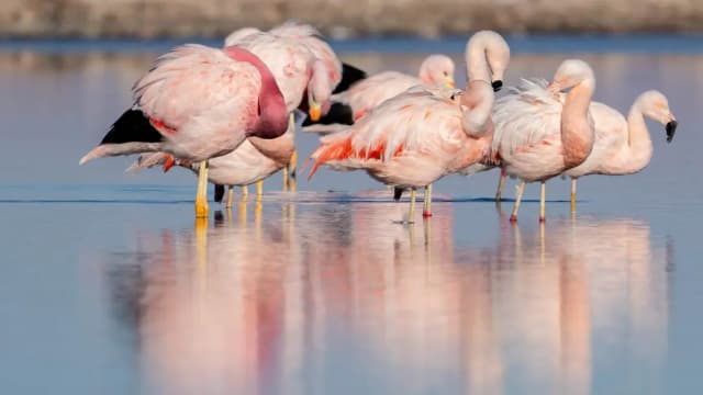 Explora Atacama - 5 Tours en 4 Días 9