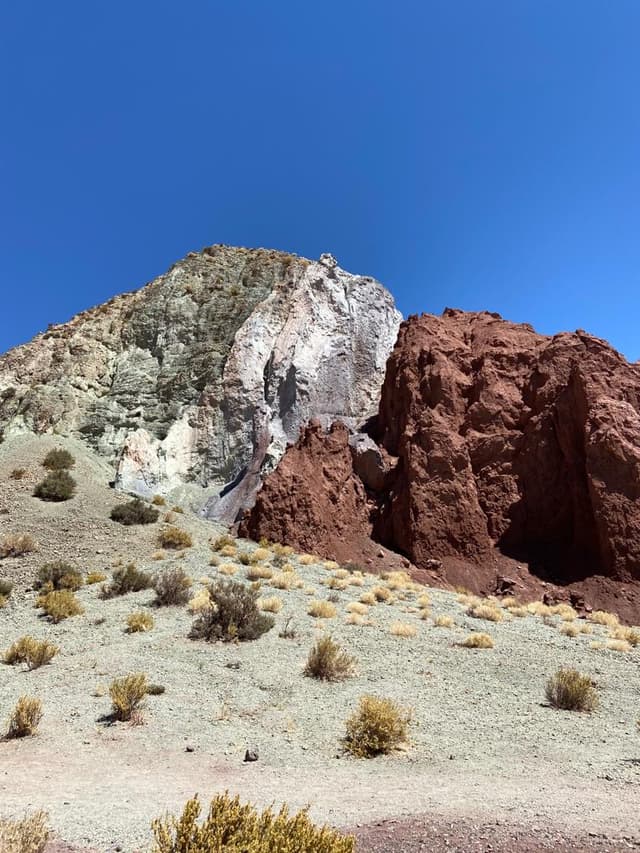 Aventura en el Desierto Total 3