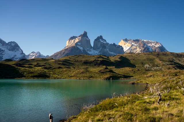 Full Day Torres del Paine 16