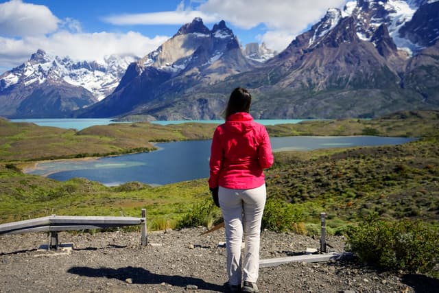 Full Day Torres del Paine 18