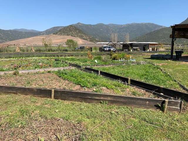 Escape to Vik Chile - Full Experience 6