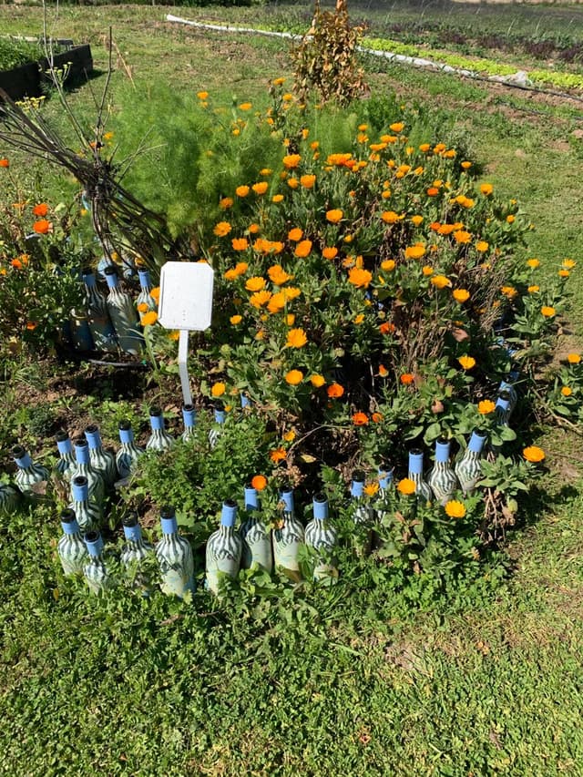 Wellness Encounters at VIK Chile - Luxury, Nature and Inner Harmony 5