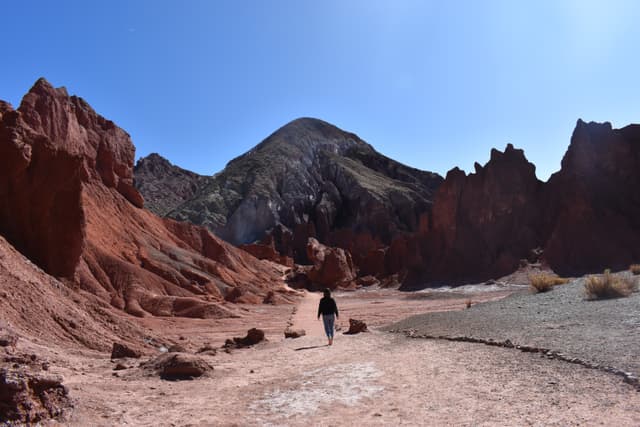 Aventura en el Desierto Total 6 tours en 4 días 7