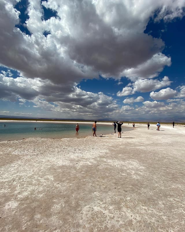 Aventura en el Desierto Total 6