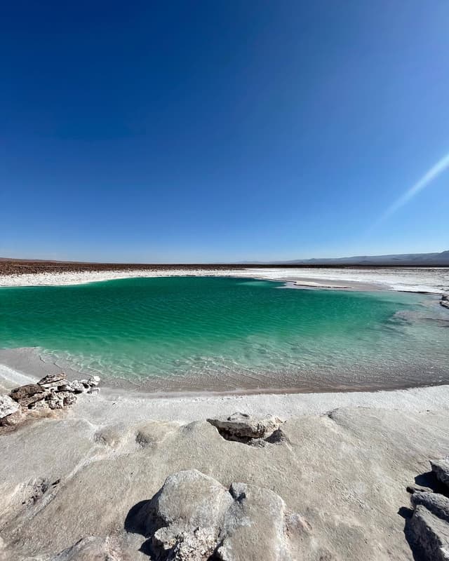 Aventura en el Desierto Total 8