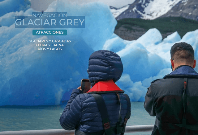 Grey Glacier Navigation 0